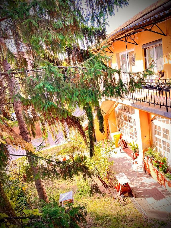 Green Apartman Эгер Экстерьер фото